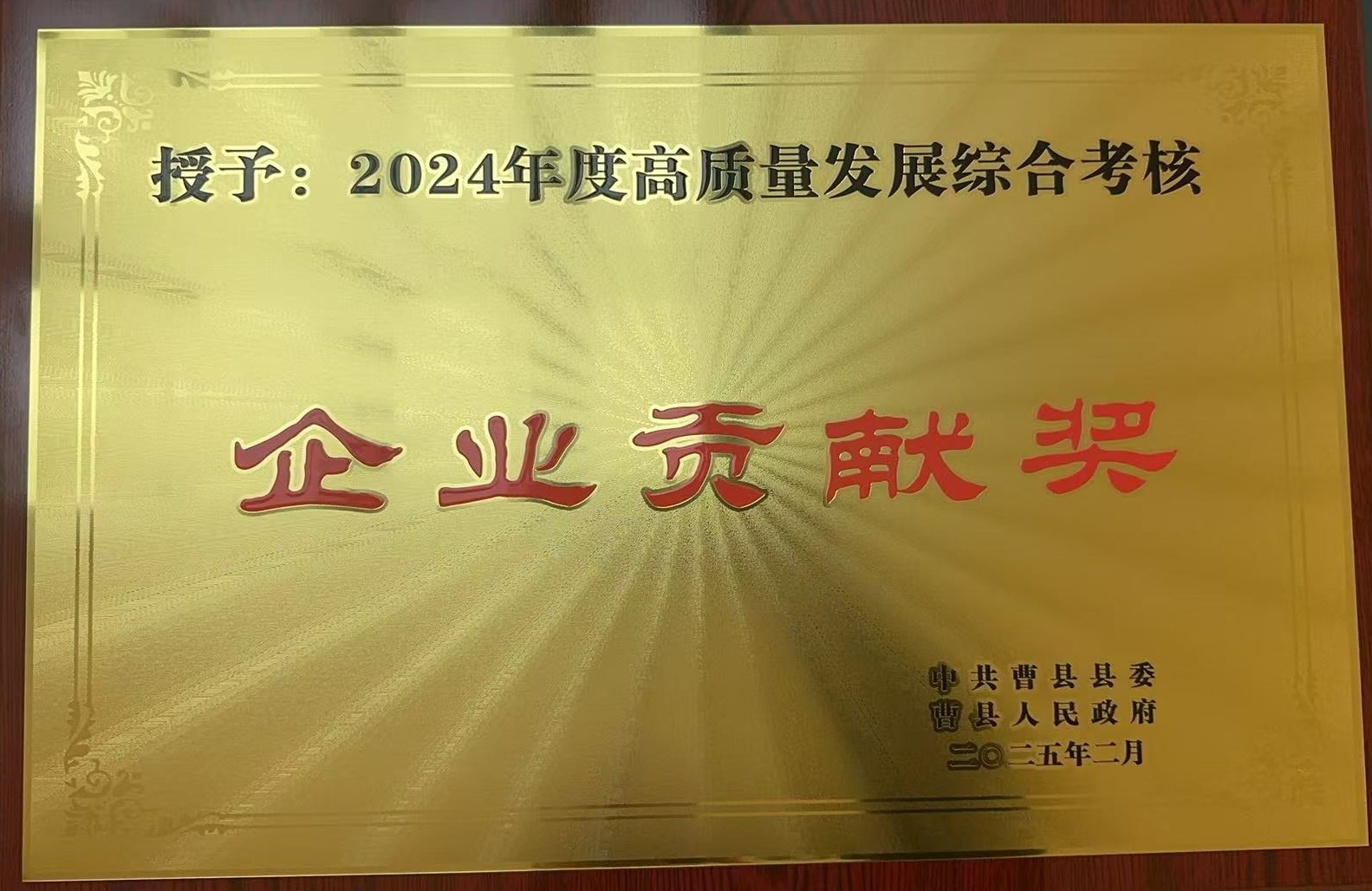 企业贡献奖